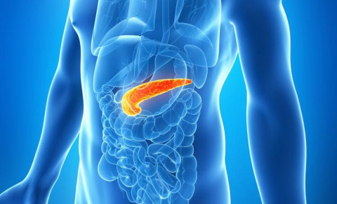 Những “tiết lộ” bất ngờ về tuyến tụy trong cơ thể con người - 1