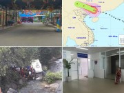 Nóng 24h qua: Thông tin bất ngờ trong vụ 7 người chết sau lễ hội âm nhạc