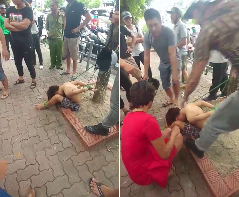 Clip: Bé trai bị trói tay chân vào gốc cây ở Hà Nội khiến cư dân mạng phẫn nộ - 1
