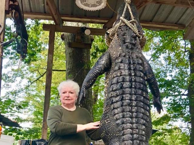 Thế giới - Mỹ: Cụ bà bắn “một phát chết tươi” cá sấu khổng lồ nặng 3 tạ