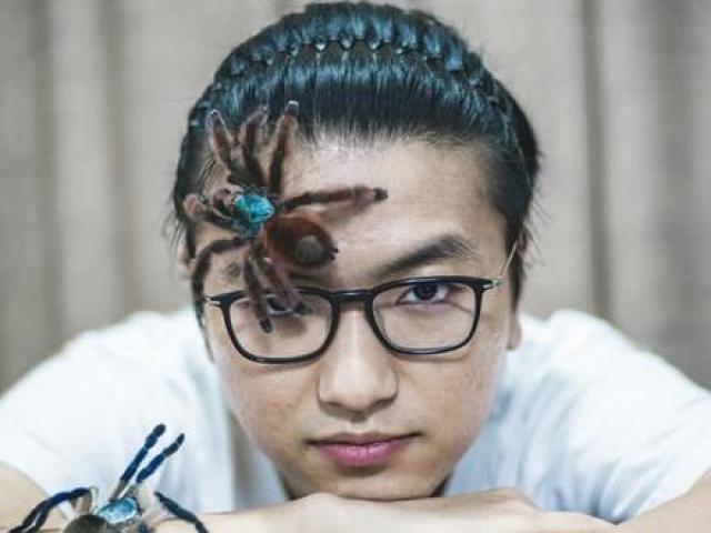 Thị trường - Tiêu dùng - Nuôi nhện, rết, bò cạp suốt chục năm, nay đút túi hàng chục triệu mỗi tháng