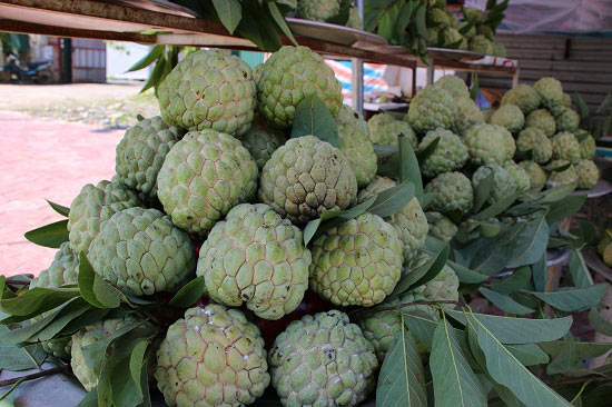 Làm giàu ở nông thôn: Tỷ phú trồng na ra trái &#34;khổng lồ&#34; - 6
