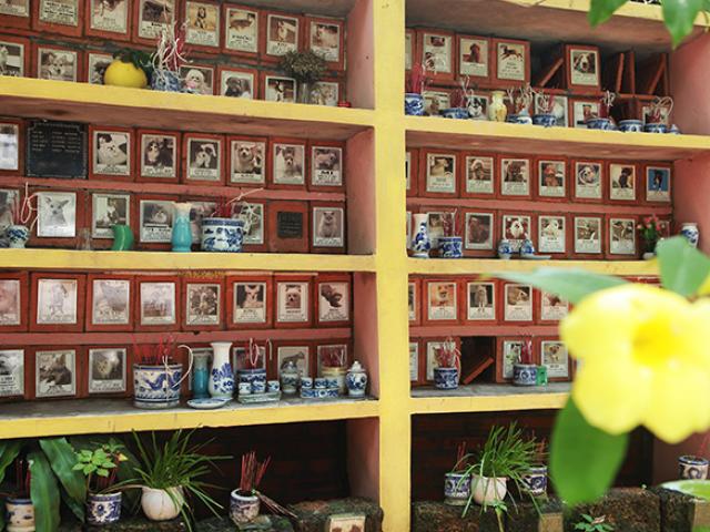 Tin tức trong ngày - Ảnh: Nơi chó được chôn cất, cúng giỗ như người giữa lòng Hà Nội