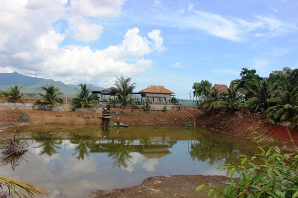 Làm giàu ở nông thôn: Đổi đời nhờ nuôi 2 loài cá &#34;khôn ăn, ở sạch&#34; - 1