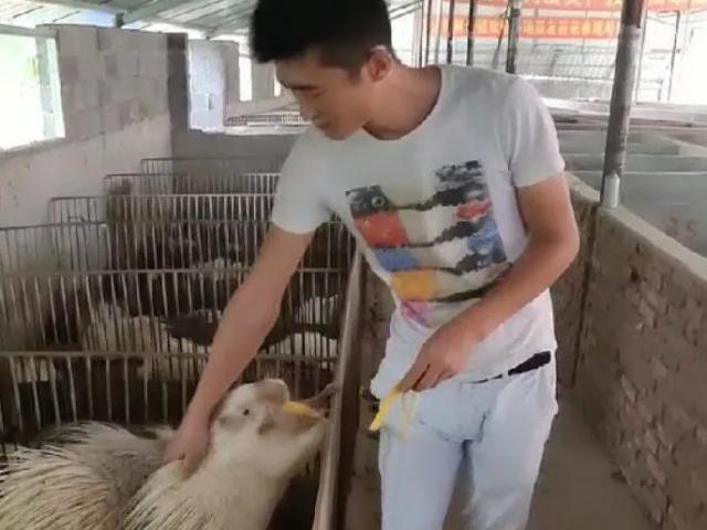 Thị trường - Tiêu dùng - 8x nuôi con "chạm vào là đau", một năm đút túi hàng trăm triệu