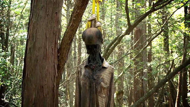 Aokigahara, Nhật Bản: Rừng Aokigahara ở Nhật Bản là điểm tự sát ám ảnh nhất ở nước Nhật với vô số hoạt động huyền bí được truyền tụng khắp mọi nơi.