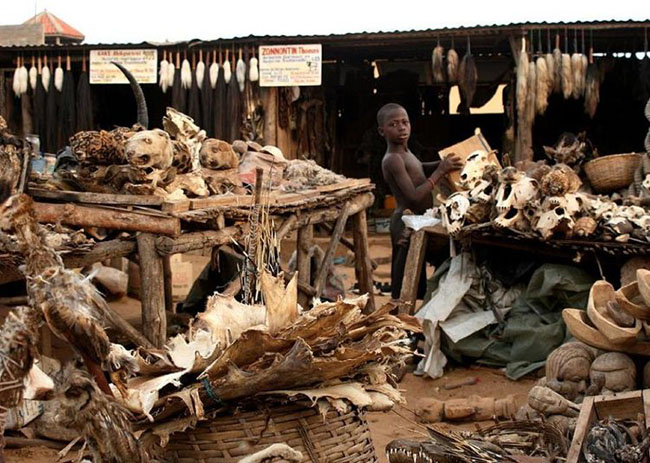 Lome Bazaar, Togo, Châu Phi: Lome Bazaar là một trong những địa điểm đáng sợ nhất trong cả nước với vô số xác của những động vật vừa bị giết cho đến những những bộ xương nằm lăn lóc khắp mọi nơi.