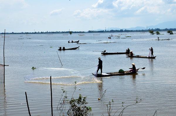 An Giang: Mùa nước nổi nhộn nhịp bắt cá tôm, hái bông điên điển - 1