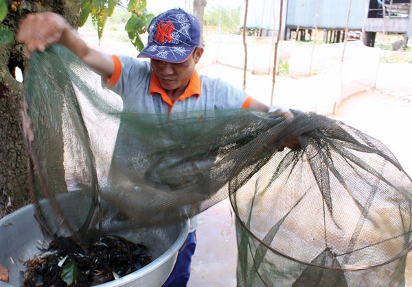 An Giang: Mùa nước nổi nhộn nhịp bắt cá tôm, hái bông điên điển - 2