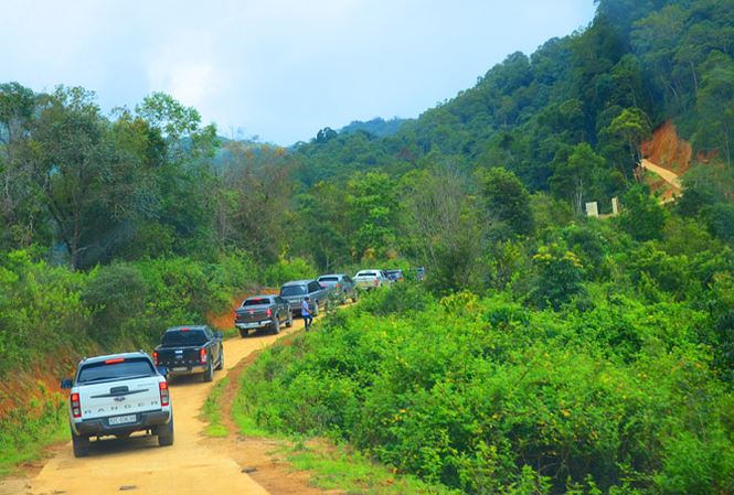 Vào 'thánh địa' loài sâm quý nhất thế giới - 1