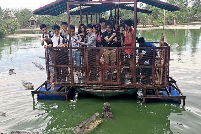 Ghé trang trại ở Thái Lan, thử tài câu cá sấu vừa dữ vừa đói giữa hồ - 1