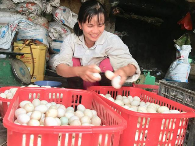 Thị trường - Tiêu dùng - Làm giàu "2 trong 1": Trên nuôi vịt, dưới nuôi cá, rủng rỉnh tiền tiêu