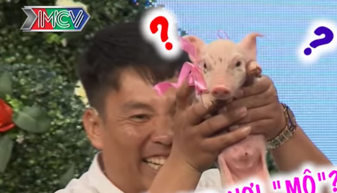 Đến “Bạn muốn hẹn hò”, trai trẻ mang theo lợn tặng bạn gái - 3