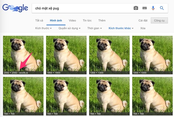3 mẹo hay khi sử dụng Google Images - 5