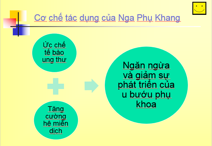 Hỗ trợ điều trị u xơ tử cung hiệu quả bằng sản phẩm thảo dược - 4