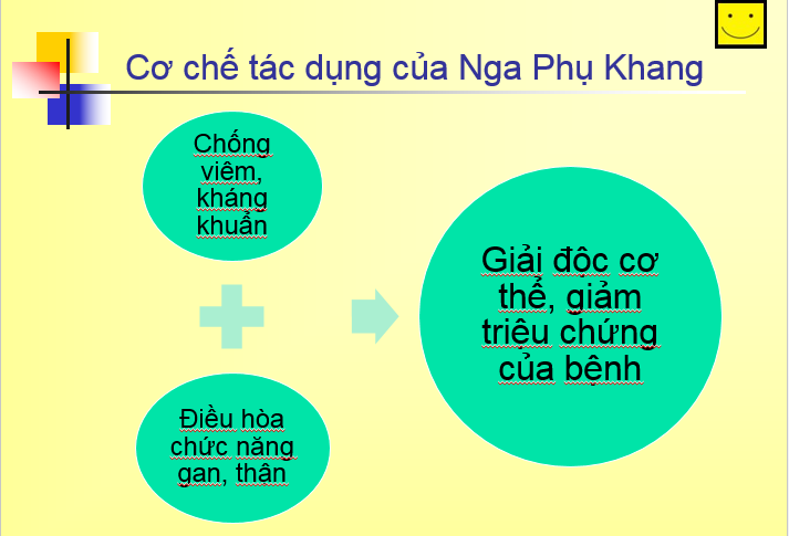 Hỗ trợ điều trị u xơ tử cung hiệu quả bằng sản phẩm thảo dược - 5