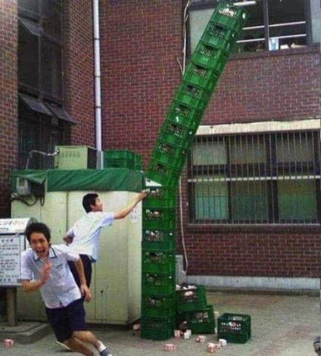 Phải nhanh chân chứ chủ nhà ra là chạy không kịp.