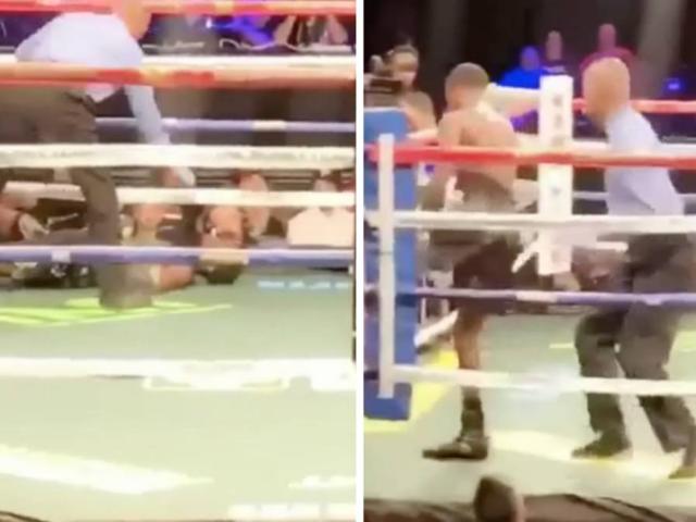 Thể thao - Dính cú đấm "hồn xiêu phách lạc": Võ sỹ tỉnh dậy làm điều không ai ngờ