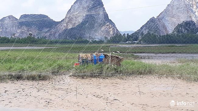 Tận diệt chim trời: Cận cảnh &#34;thiên la, địa võng&#34; giăng bắt chim, cò - 9