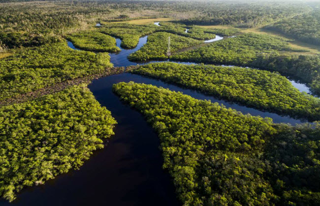 Rừng Amazon: Khu rừng nhiệt đới ở Nam Mỹ là một trong 7 kỳ quan thiên nhiên mới trên thế giới. Rừng Amazon là hệ sinh thái lớn nhất trên trái đất và được coi là lá phổi của thế giới.