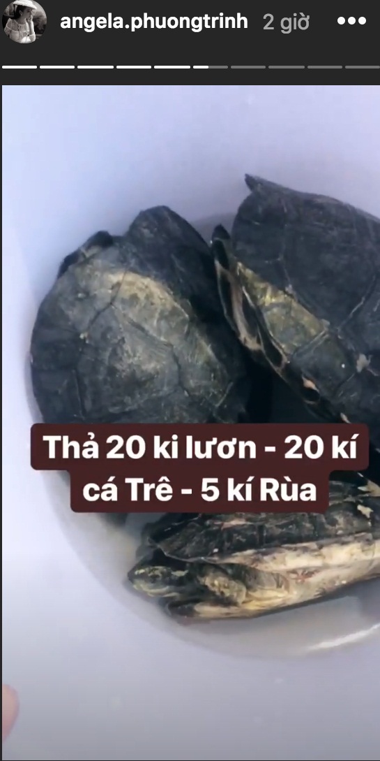 Angela Phương Trinh vừa thả cá phóng sinh thì trời trút mưa bão - 1