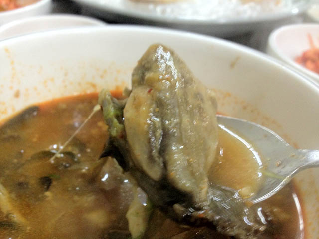 Trái ngược với món cá đuối thường thấy, đặc sản Hàn Quốc này khiến ai cũng bịt mũi khi ăn - 9