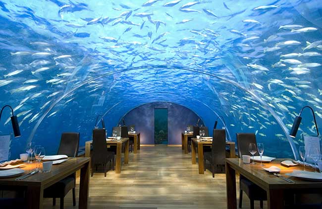 Ăn tối dưới biển sâu 5 mét tại nhà hàng Ithaa, Alif Dhaal Atoll, Maldives.