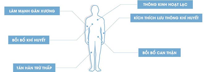 Thoái hóa cột sống: Nguyên nhân, triệu chứng và cách điều trị hiệu quả - 3