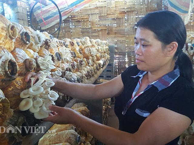 Thị trường - Tiêu dùng - Từ "phận" làm thuê, gái đảm xứ Lạng thành bà chủ trại nấm "khủng"