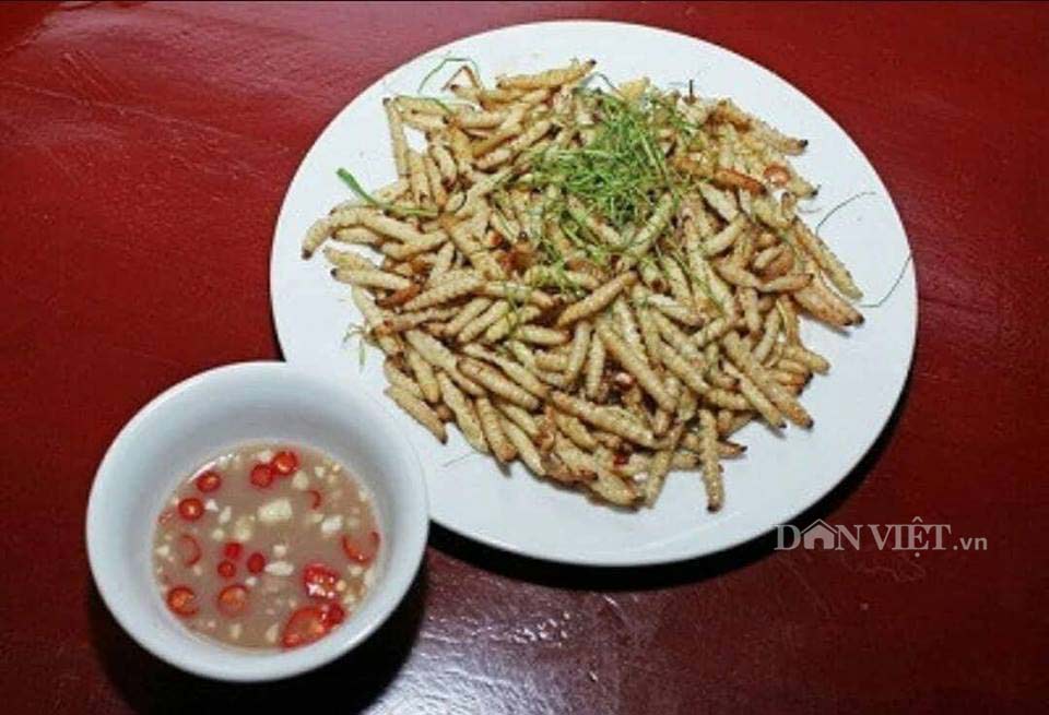Hãi hùng: Vào rừng săn sâu tre ngoe nguẩy, món đặc sản thơm phức - 4