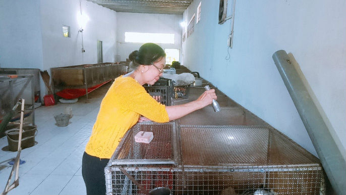 Người phụ nữ về hưu “hốt bạc” từ mô hình nuôi chồn hương - 1