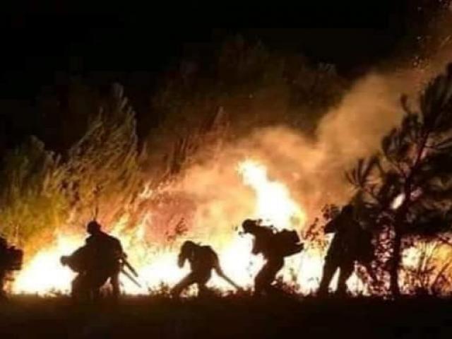 Rơi nước mắt những dòng sẻ chia người lính chữa cháy rừng ở Hà Tĩnh