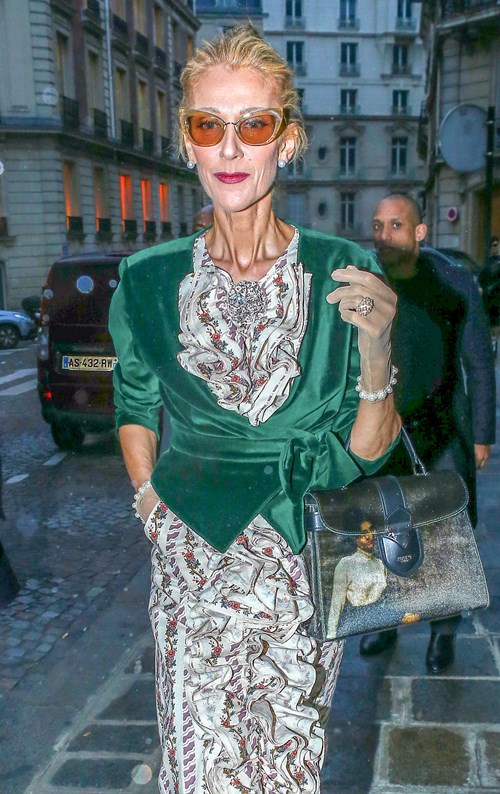 Céline Dion lại biến mình thành móc treo quần áo, gió thổi cũng bay - 3