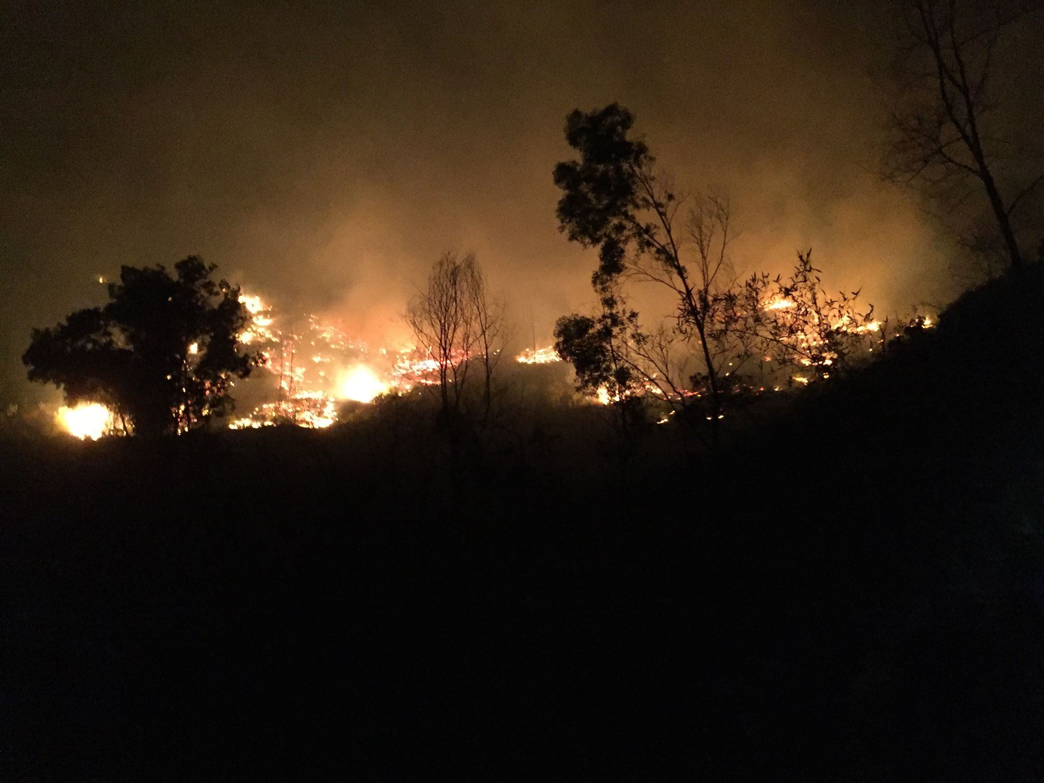 Cháy rừng ở Hà Tĩnh: Vừa dập chỗ này xong, chỗ khác đã chìm trong &#34;biển lửa&#34; - 1