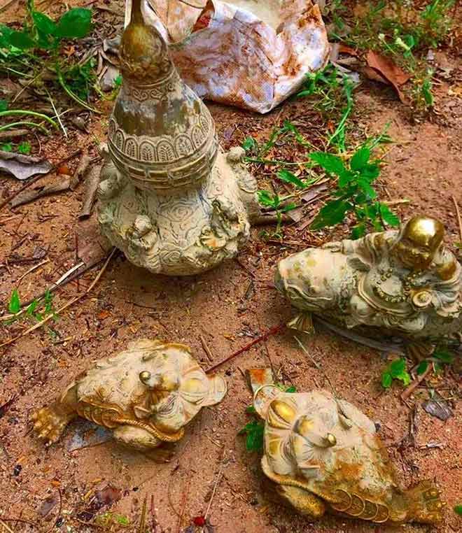 Vụ “kho báu” gần núi Tàu: Không loại trừ thông tin giả để làm giá - 1