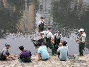 Tin tức trong ngày - Tiết lộ lý do “bảo bối” làm sạch nước sông Tô Lịch bị tháo đưa lên bờ