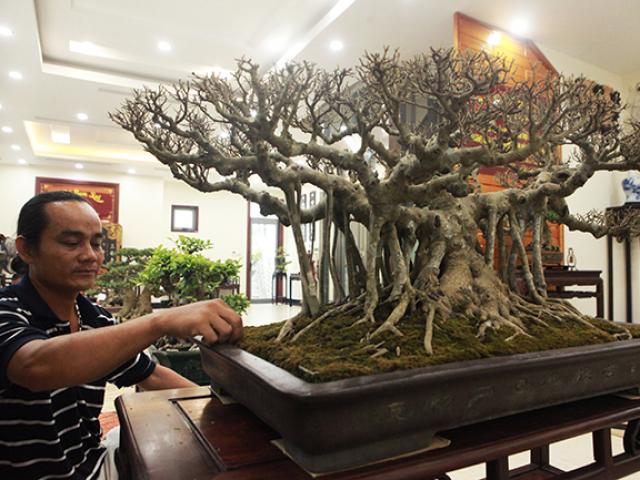 Thị trường - Tiêu dùng - Sanh quê "nhỏ mà có võ", giá bán tới nửa tỷ đồng