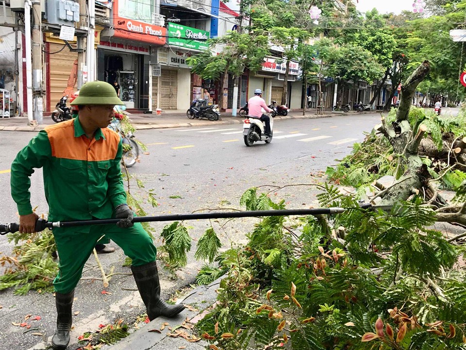 Bão số 2 đổ bộ, phượng đỏ ở Hải Phòng gãy đổ la liệt - 11