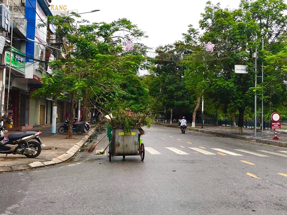 Bão số 2 đổ bộ, phượng đỏ ở Hải Phòng gãy đổ la liệt - 12