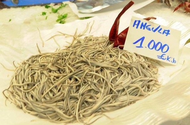 Cơ thể chúng có màu trong suốt nhưng sau khi nấu chín sẽ có màu trắng đục