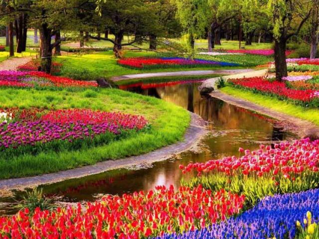 Du lịch - Những địa danh không nên bỏ qua khi đến đất nước của hoa Tuy-líp và cối xay gió