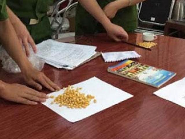 Pháp luật - Phá ổ bạc “gạt hạt ngô” ăn tiền