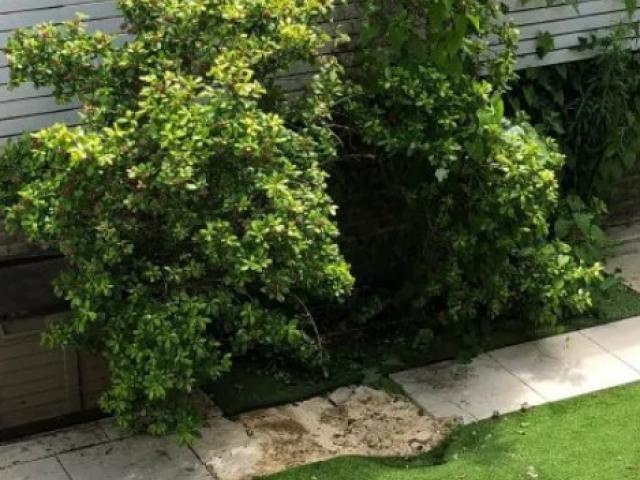 Thế giới - Xác người rơi trên trời xuống đất ở Anh: Manh mối về danh tính