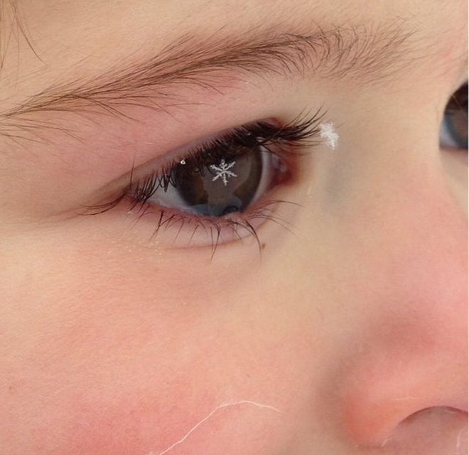 Hoa mắt chóng mặt với khoảnh khắc tình cờ "chộp" được - 2