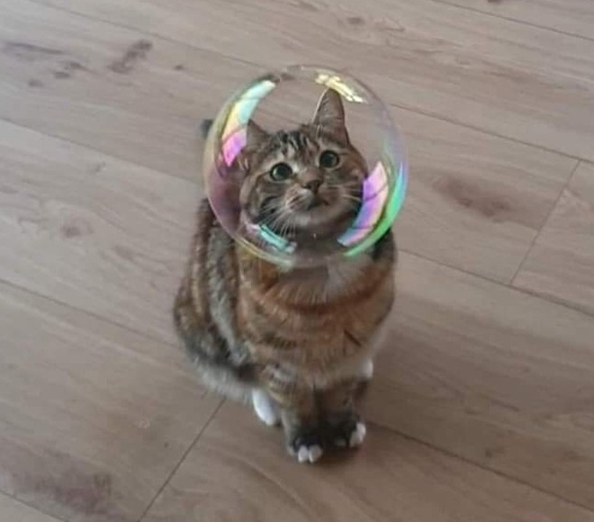 Hoa mắt chóng mặt với khoảnh khắc tình cờ "chộp" được - 7