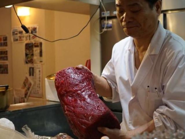 Đấu giá thịt cá voi tàu Nhật Bản lần đầu tiên đi săn được sau 31 năm