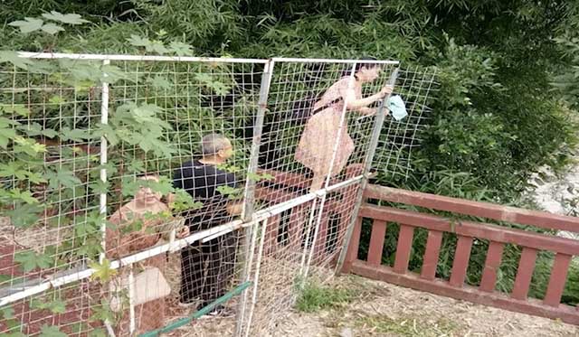 TQ: Công viên đóng cửa đến hết năm vì du khách hái trụi sen - 2