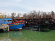 Thị trường - Tiêu dùng - Trung Quốc không thông quan, mực khô tiếp tục ế ẩm