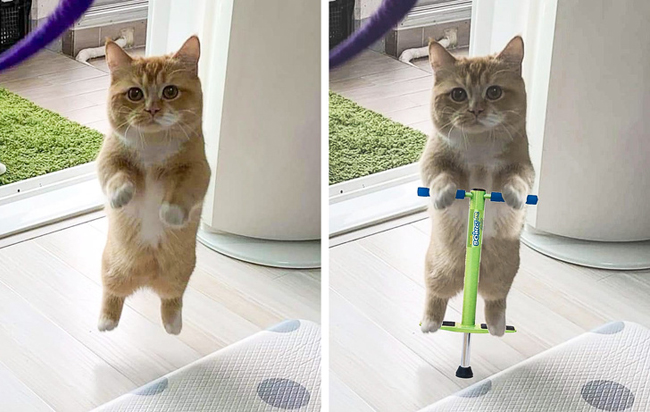 Nhảy cái này cho đỡ mỏi chân.