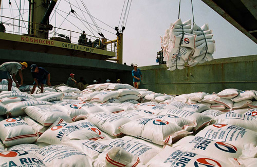 “Chạy hụt hơi” ở nước láng giềng, gạo Việt tìm thị trường mới - 1
